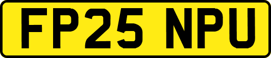 FP25NPU