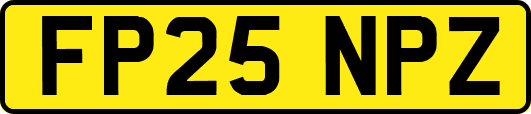 FP25NPZ
