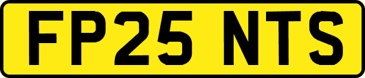 FP25NTS