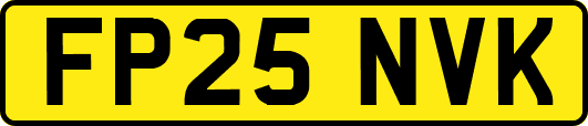 FP25NVK