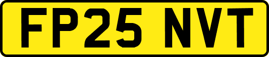 FP25NVT