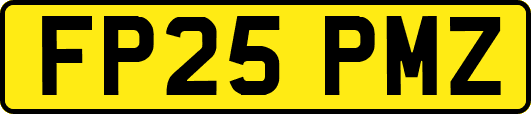 FP25PMZ