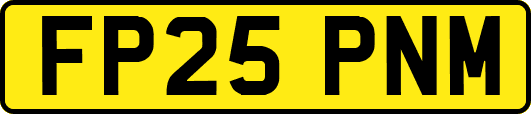 FP25PNM