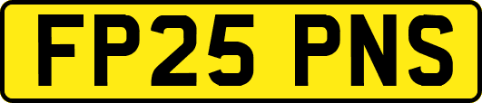 FP25PNS