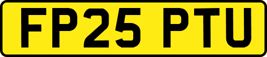 FP25PTU