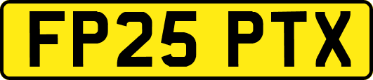 FP25PTX