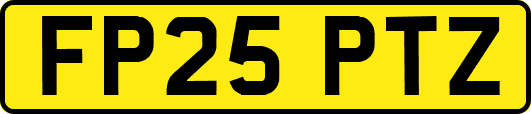 FP25PTZ