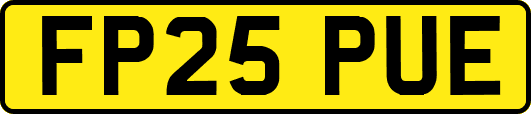 FP25PUE