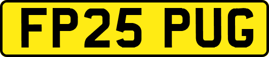 FP25PUG