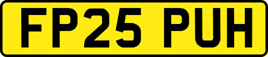FP25PUH