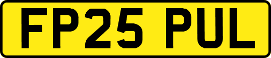 FP25PUL