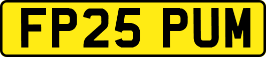 FP25PUM