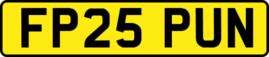 FP25PUN