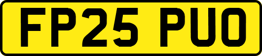 FP25PUO