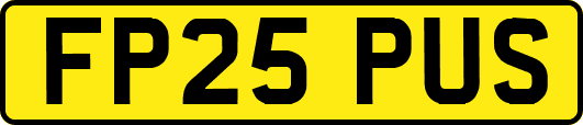 FP25PUS
