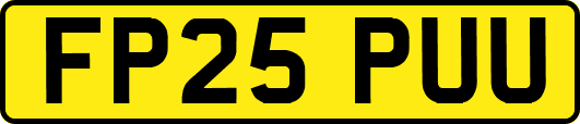 FP25PUU