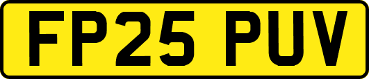 FP25PUV