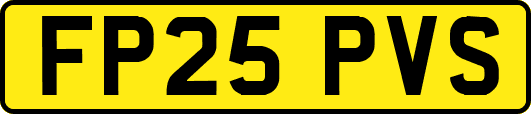 FP25PVS