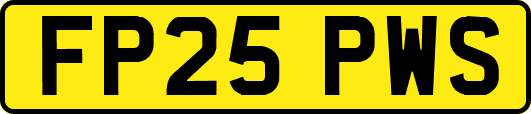 FP25PWS