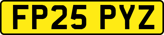 FP25PYZ