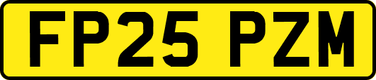 FP25PZM