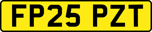 FP25PZT