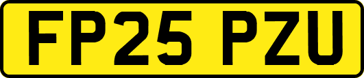 FP25PZU