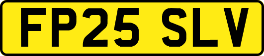 FP25SLV
