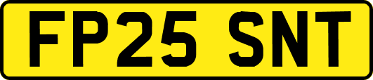 FP25SNT