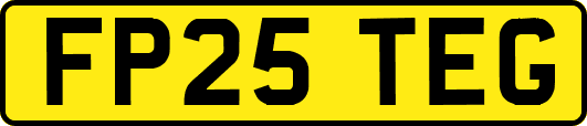 FP25TEG