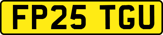 FP25TGU