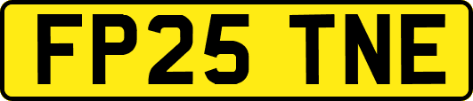 FP25TNE