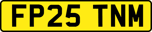 FP25TNM