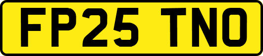 FP25TNO