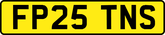 FP25TNS