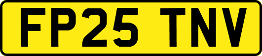 FP25TNV