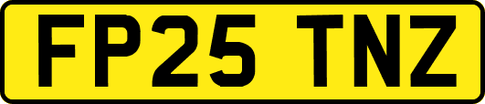 FP25TNZ