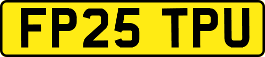 FP25TPU