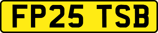 FP25TSB