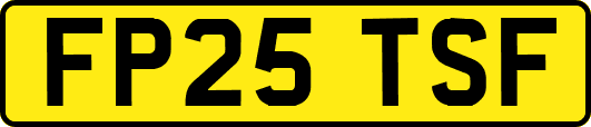 FP25TSF