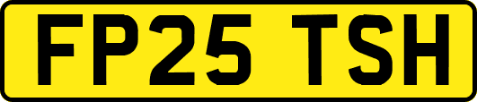 FP25TSH