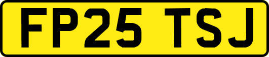 FP25TSJ