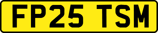 FP25TSM