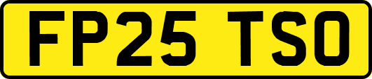 FP25TSO