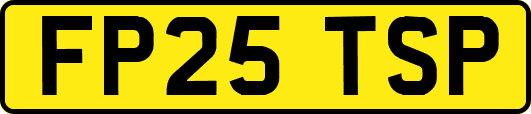 FP25TSP