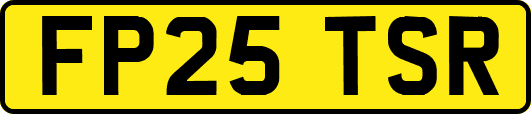 FP25TSR