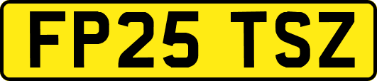 FP25TSZ