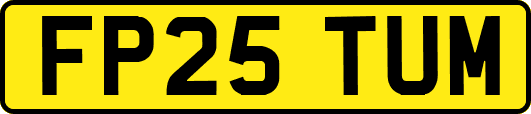 FP25TUM