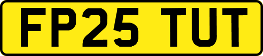 FP25TUT