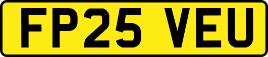 FP25VEU